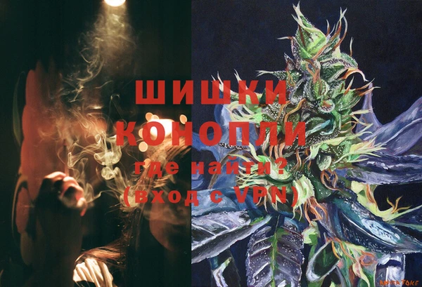 ГАЛЛЮЦИНОГЕННЫЕ ГРИБЫ Арсеньев
